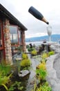 Okanagan 酒谷行 6 : Summerhill thumbnail