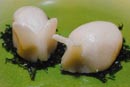 Lin Chinese Cuisine : 點心之外 thumbnail