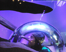 Vancouver Aquarium : Luminescence thumbnail