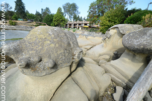 Fine Dining @ Galiano Island thumbnail